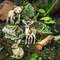 150PCS Forest Scrapbook Stickers Set – Waterproof Vinyl Botanical Plant & Animal Nature Junk Journal Stickers for Scrapbooking, Journaling, DIY Crafts & Aesthetic Decor